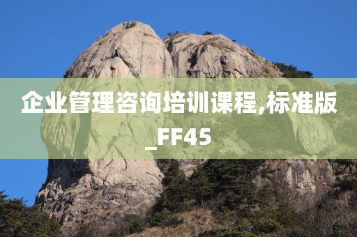 企业管理咨询培训课程,标准版_FF45