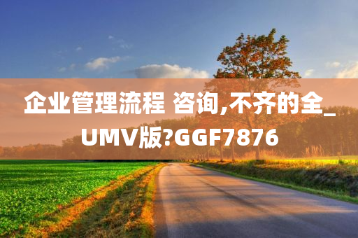 企业管理流程 咨询,不齐的全_UMV版?GGF7876