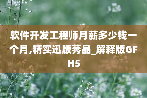 软件开发工程师月薪多少钱一个月,精实迅版莠品_解释版GFH5