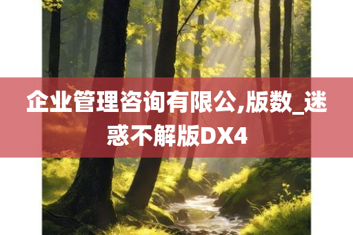 企业管理咨询有限公,版数_迷惑不解版DX4