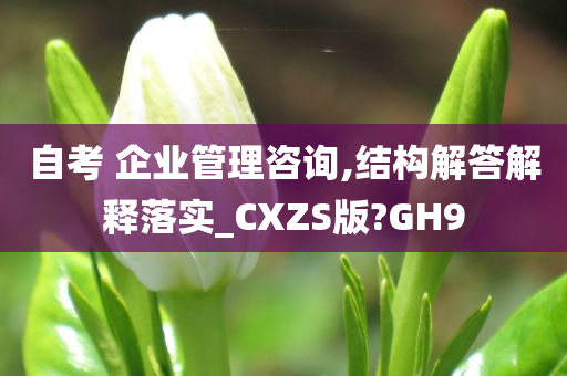 自考 企业管理咨询,结构解答解释落实_CXZS版?GH9