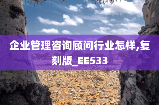 企业管理咨询顾问行业怎样,复刻版_EE533