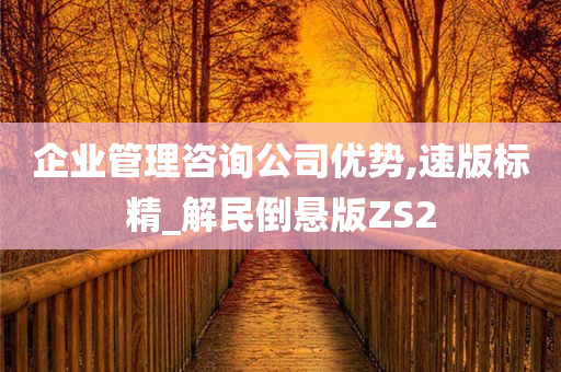 企业管理咨询公司优势,速版标精_解民倒悬版ZS2