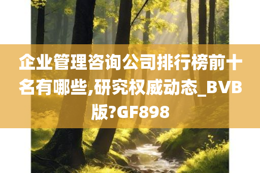 企业管理咨询公司排行榜前十名有哪些,研究权威动态_BVB版?GF898