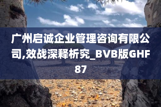 广州启诚企业管理咨询有限公司,效战深释析究_BVB版GHF87