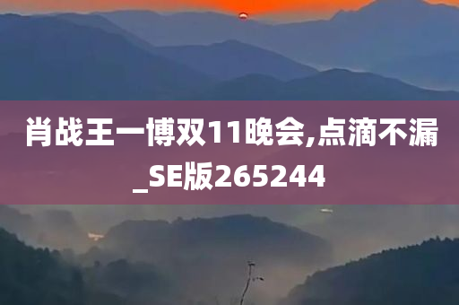 肖战王一博双11晚会,点滴不漏_SE版265244