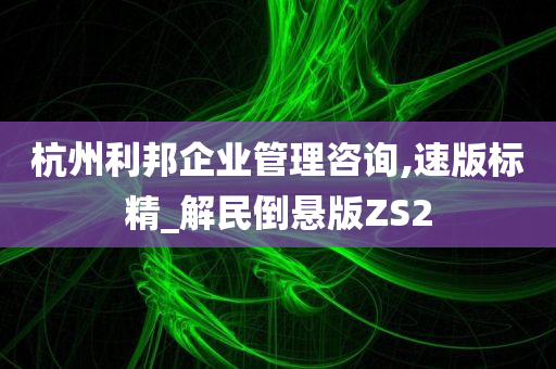 杭州利邦企业管理咨询,速版标精_解民倒悬版ZS2