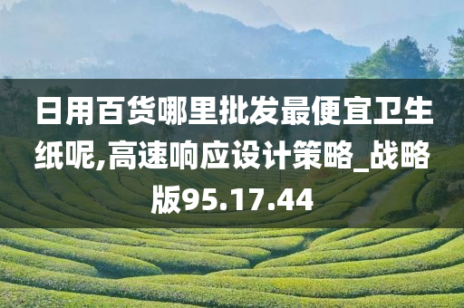 日用百货哪里批发最便宜卫生纸呢,高速响应设计策略_战略版95.17.44