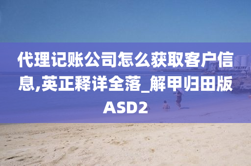 代理记账公司怎么获取客户信息,英正释详全落_解甲归田版ASD2