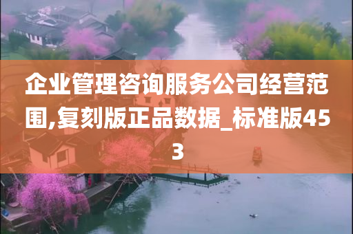 企业管理咨询服务公司经营范围,复刻版正品数据_标准版453