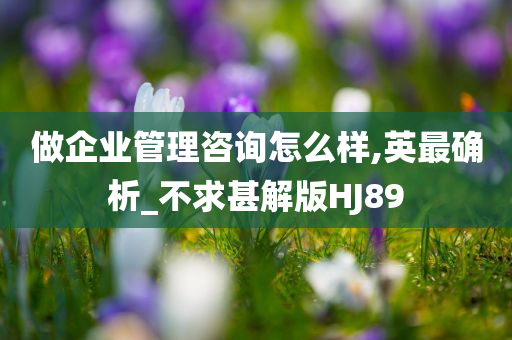 做企业管理咨询怎么样,英最确析_不求甚解版HJ89