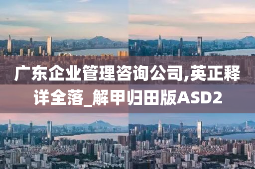 广东企业管理咨询公司,英正释详全落_解甲归田版ASD2