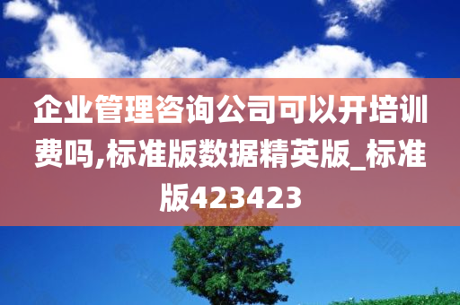 企业管理咨询公司可以开培训费吗,标准版数据精英版_标准版423423