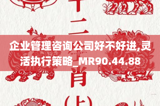 企业管理咨询公司好不好进,灵活执行策略_MR90.44.88