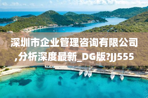 深圳市企业管理咨询有限公司,分析深度最新_DG版?JJ555