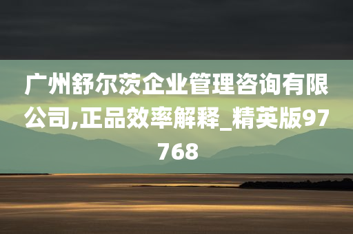 广州舒尔茨企业管理咨询有限公司,正品效率解释_精英版97768