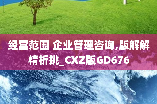 经营范围 企业管理咨询,版解解精析挑_CXZ版GD676