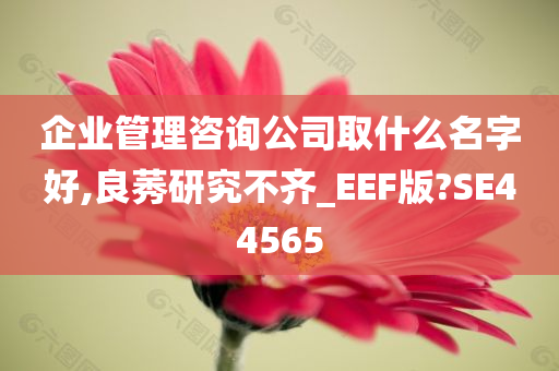 企业管理咨询公司取什么名字好,良莠研究不齐_EEF版?SE44565