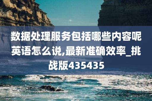 数据处理服务包括哪些内容呢英语怎么说,最新准确效率_挑战版435435