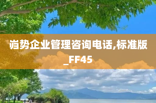 岿势企业管理咨询电话,标准版_FF45