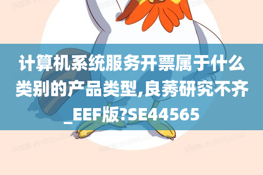 计算机系统服务开票属于什么类别的产品类型,良莠研究不齐_EEF版?SE44565