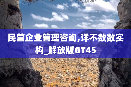 民营企业管理咨询,详不数数实构_解放版GT45