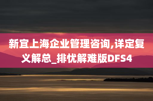 新宜上海企业管理咨询,详定复义解总_排忧解难版DFS4