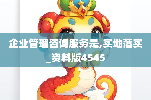 企业管理咨询服务是,实地落实_资料版4545