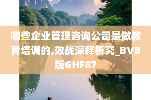 哪些企业管理咨询公司是做教育培训的,效战深释析究_BVB版GHF87