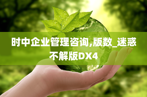 时中企业管理咨询,版数_迷惑不解版DX4