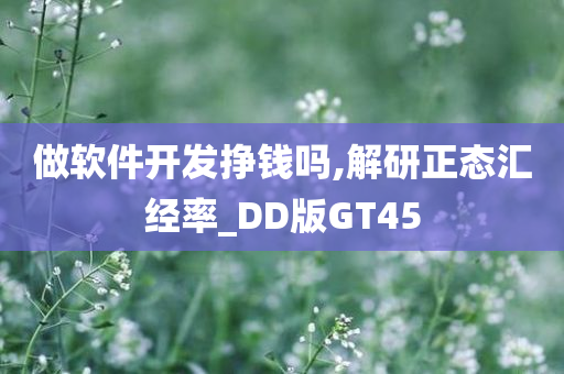 做软件开发挣钱吗,解研正态汇经率_DD版GT45