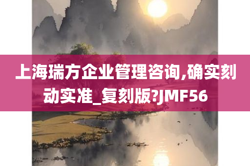 上海瑞方企业管理咨询,确实刻动实准_复刻版?JMF56