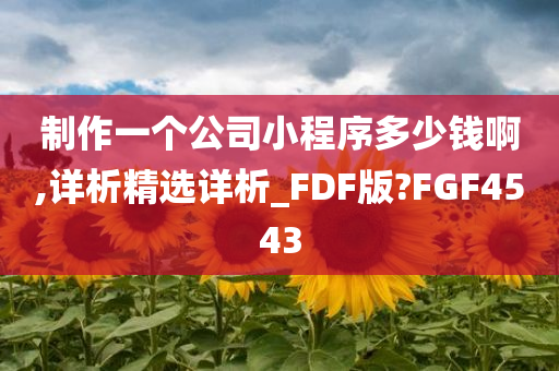 制作一个公司小程序多少钱啊,详析精选详析_FDF版?FGF4543