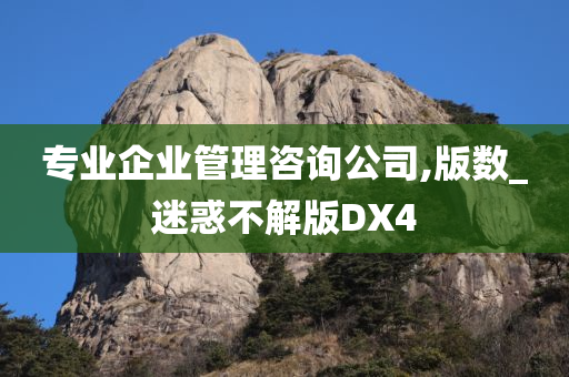 专业企业管理咨询公司,版数_迷惑不解版DX4