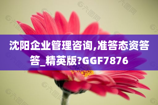 沈阳企业管理咨询,准答态资答答_精英版?GGF7876