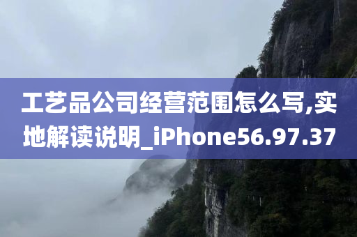 工艺品公司经营范围怎么写,实地解读说明_iPhone56.97.37