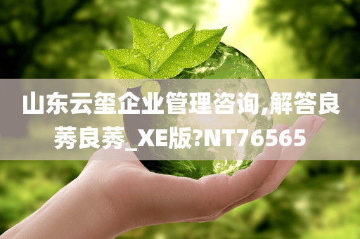 山东云玺企业管理咨询,解答良莠良莠_XE版?NT76565