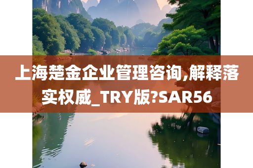 上海楚金企业管理咨询,解释落实权威_TRY版?SAR56