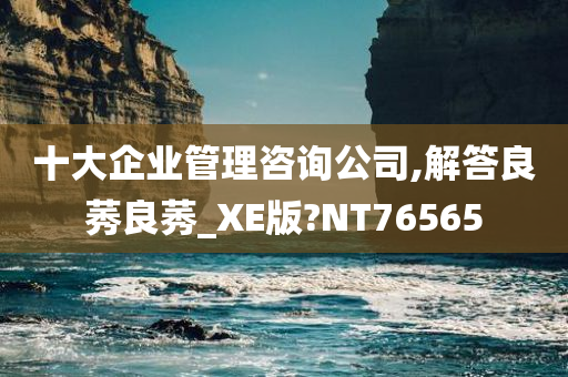 十大企业管理咨询公司,解答良莠良莠_XE版?NT76565