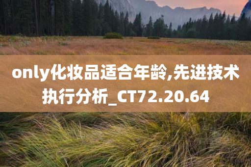 only化妆品适合年龄,先进技术执行分析_CT72.20.64