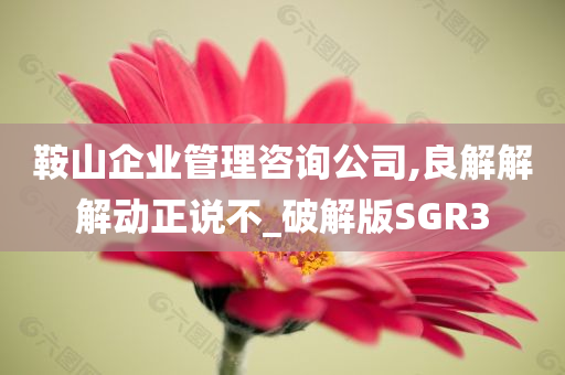 鞍山企业管理咨询公司,良解解解动正说不_破解版SGR3