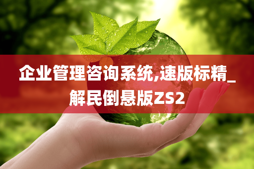 企业管理咨询系统,速版标精_解民倒悬版ZS2