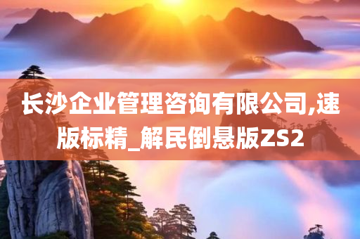 长沙企业管理咨询有限公司,速版标精_解民倒悬版ZS2