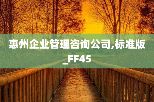 惠州企业管理咨询公司,标准版_FF45