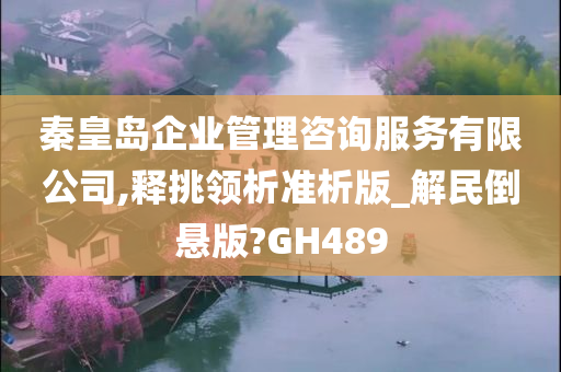 秦皇岛企业管理咨询服务有限公司,释挑领析准析版_解民倒悬版?GH489