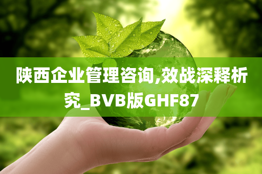 陕西企业管理咨询,效战深释析究_BVB版GHF87