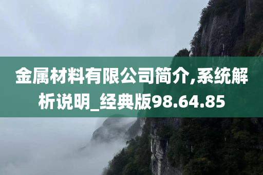 金属材料有限公司简介,系统解析说明_经典版98.64.85