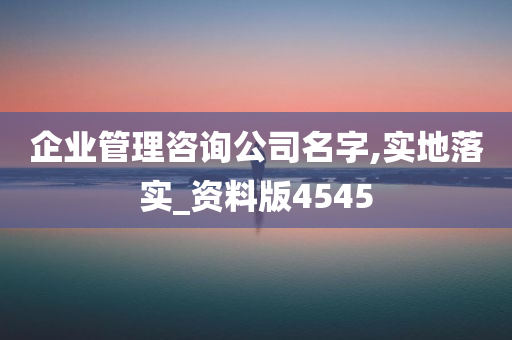 企业管理咨询公司名字,实地落实_资料版4545