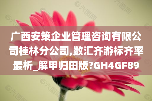 广西安策企业管理咨询有限公司桂林分公司,数汇齐游标齐率最析_解甲归田版?GH4GF89