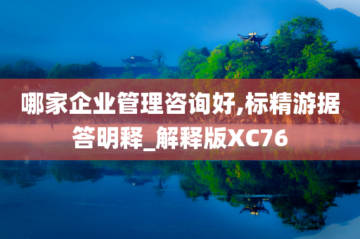 哪家企业管理咨询好,标精游据答明释_解释版XC76